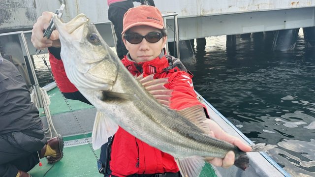 シーバス(スズキ)