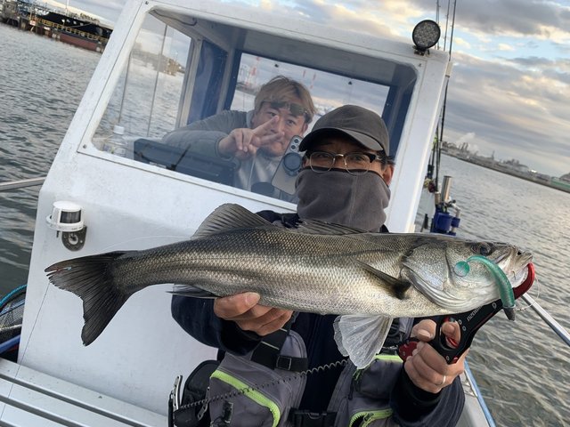 シーバス(スズキ)