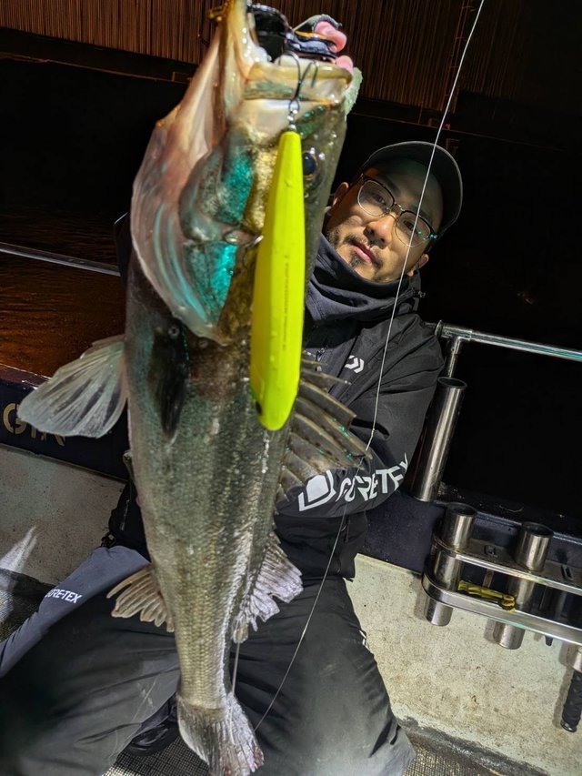 シーバス(スズキ)