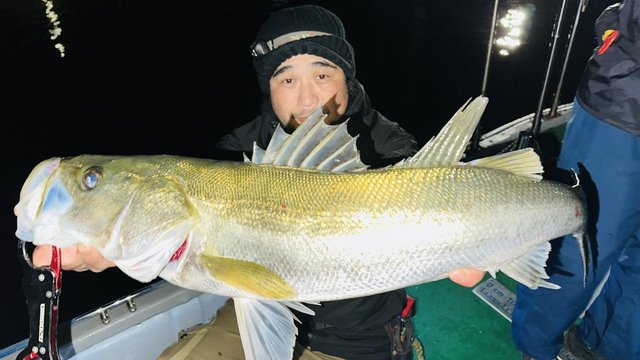 シーバス(スズキ)