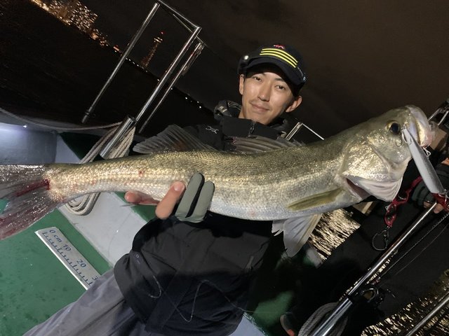 シーバス(スズキ)