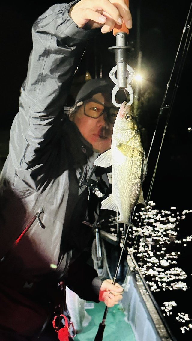 シーバス(スズキ)