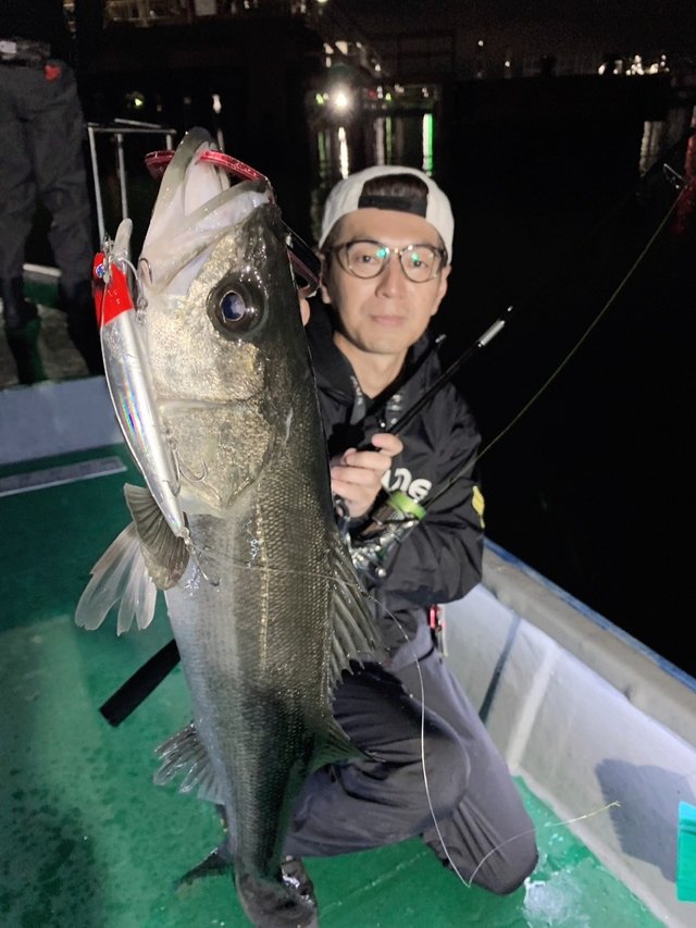 シーバス(スズキ)