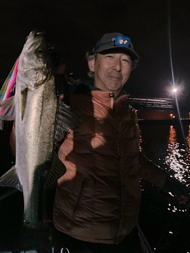 シーバス(スズキ)