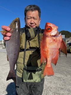 イサキ・キントキ(チカメキントキ)