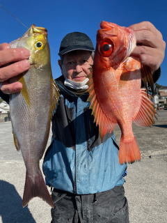 イサキ・キントキ(チカメキントキ)