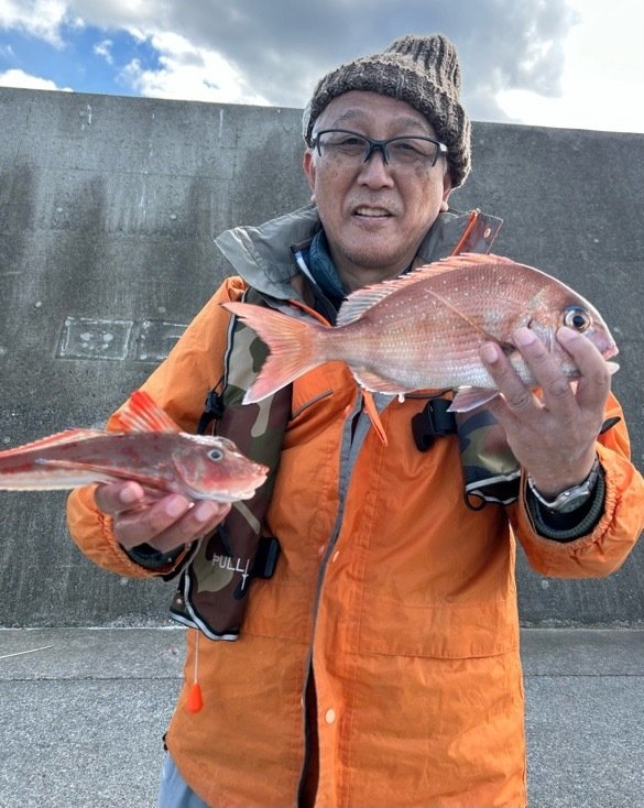 ハナダイ(チダイ)・ホウボウ