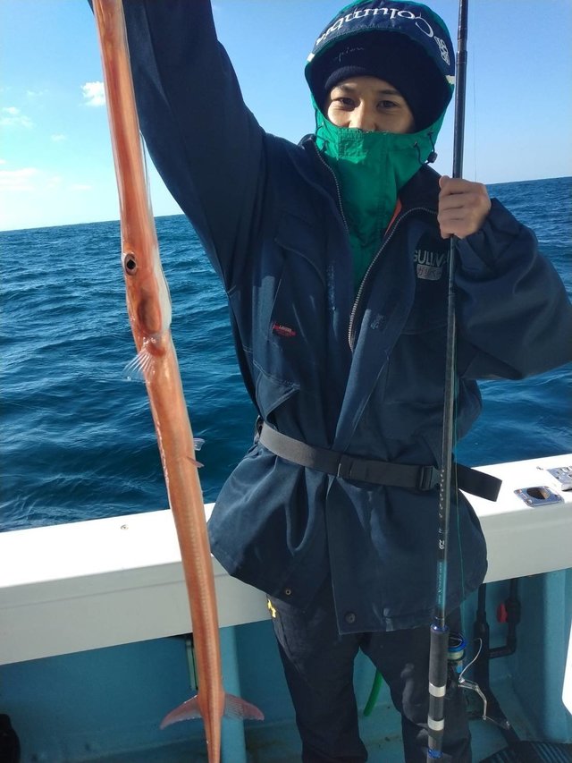 ヤガラ(アカヤガラ)