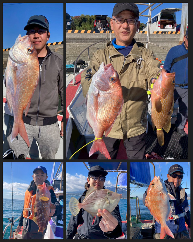 チャリコ(マダイ)・タイ(マダイ)・アコウ(キジハタ)・カワハギ