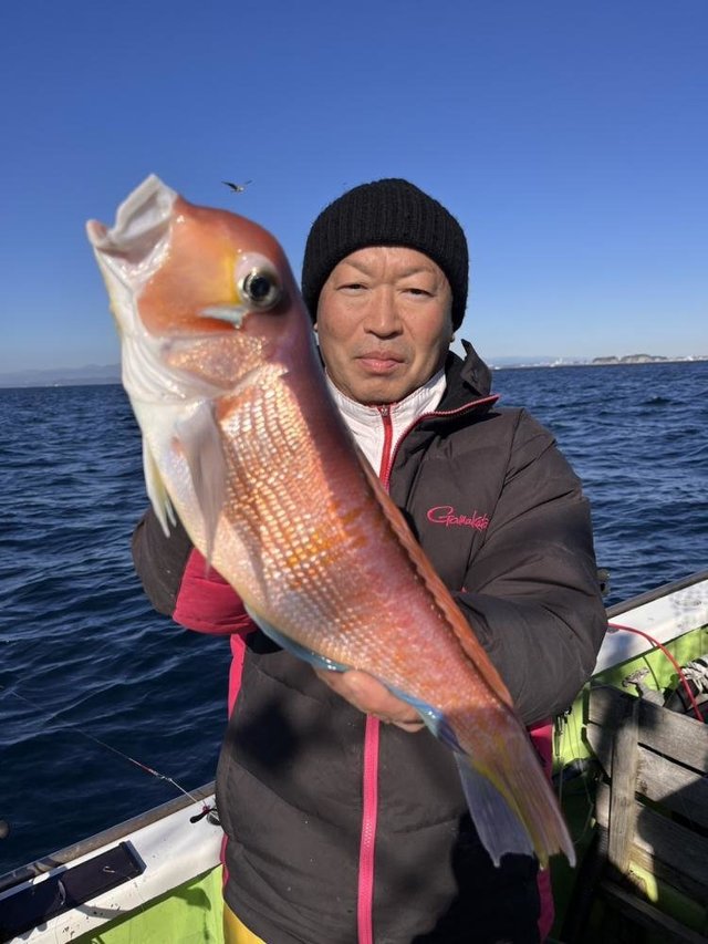 アマダイ(アカアマダイ)