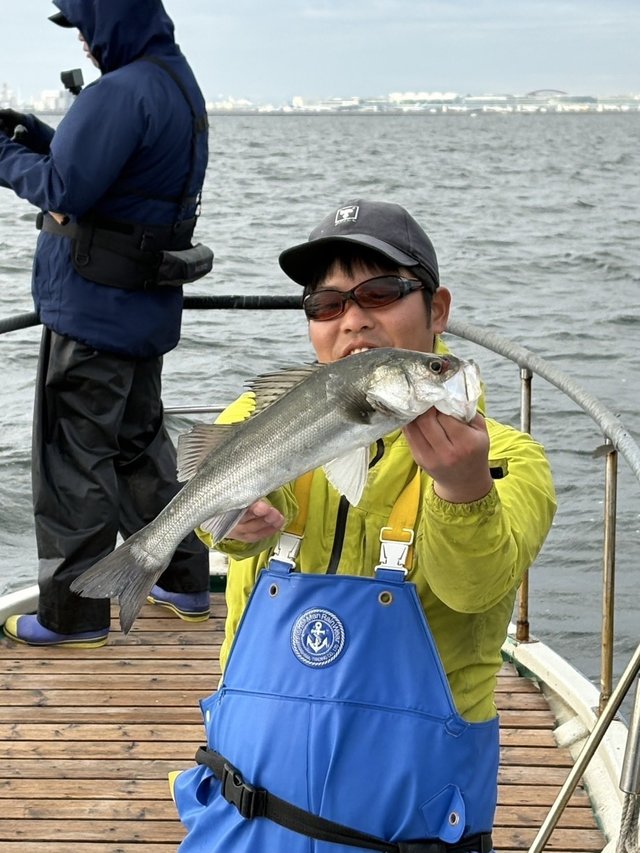 シーバス(スズキ)