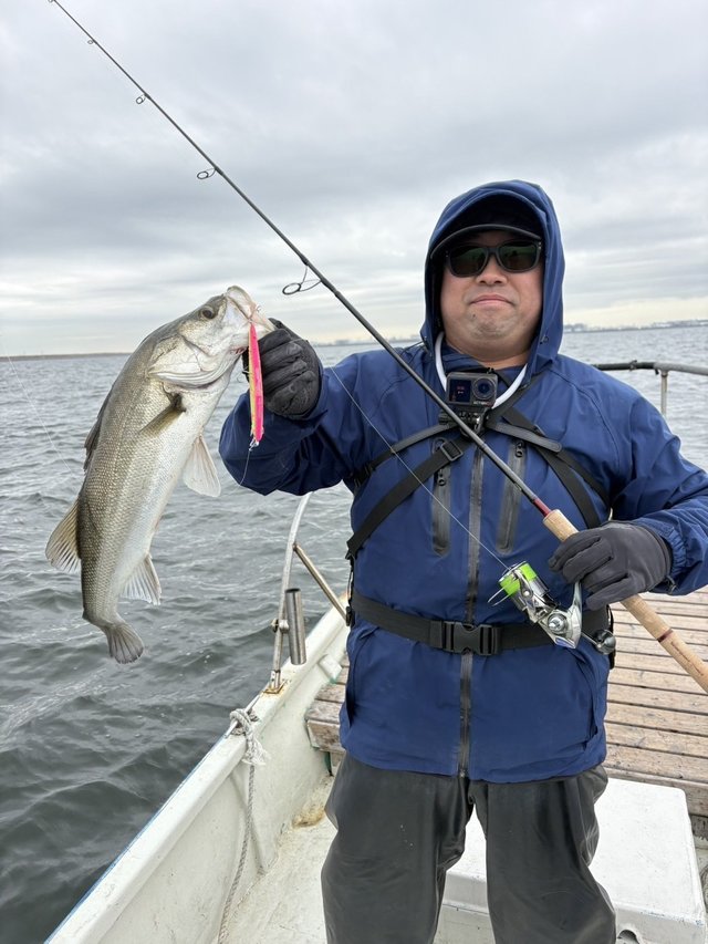 シーバス(スズキ)