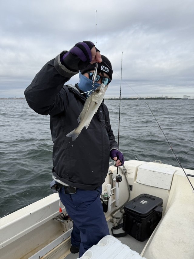 シーバス(スズキ)