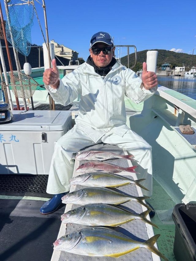 マダイ・シマアジ