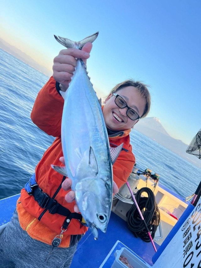 ヒラソーダ(ヒラソウダ)