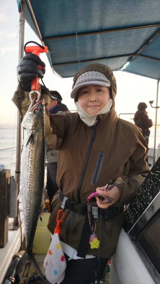 サゴシ(サワラ)