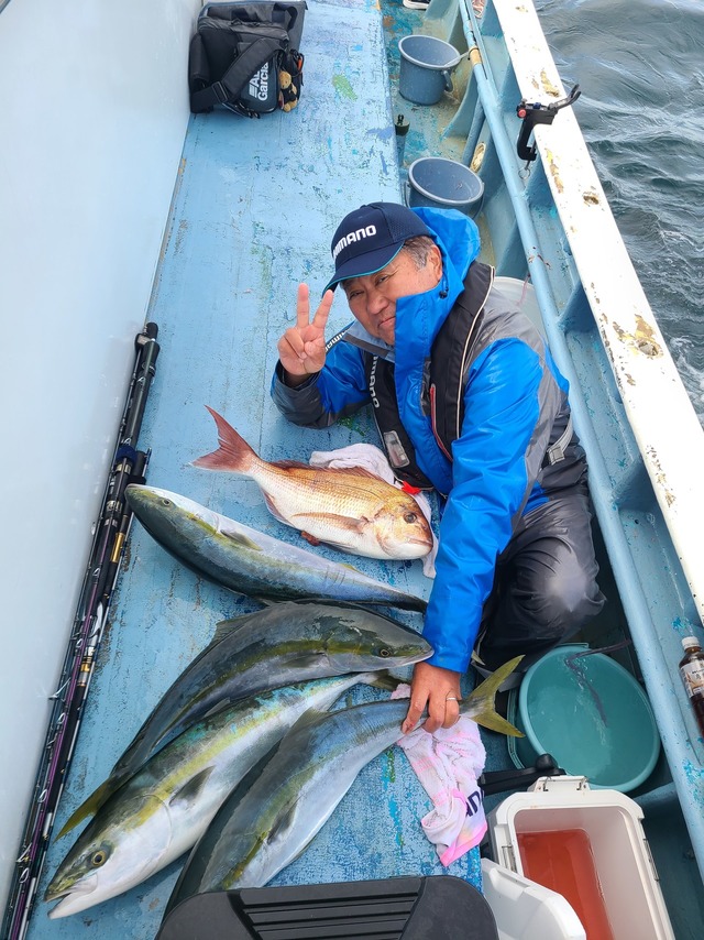 マダイ・ワラサ(ブリ)