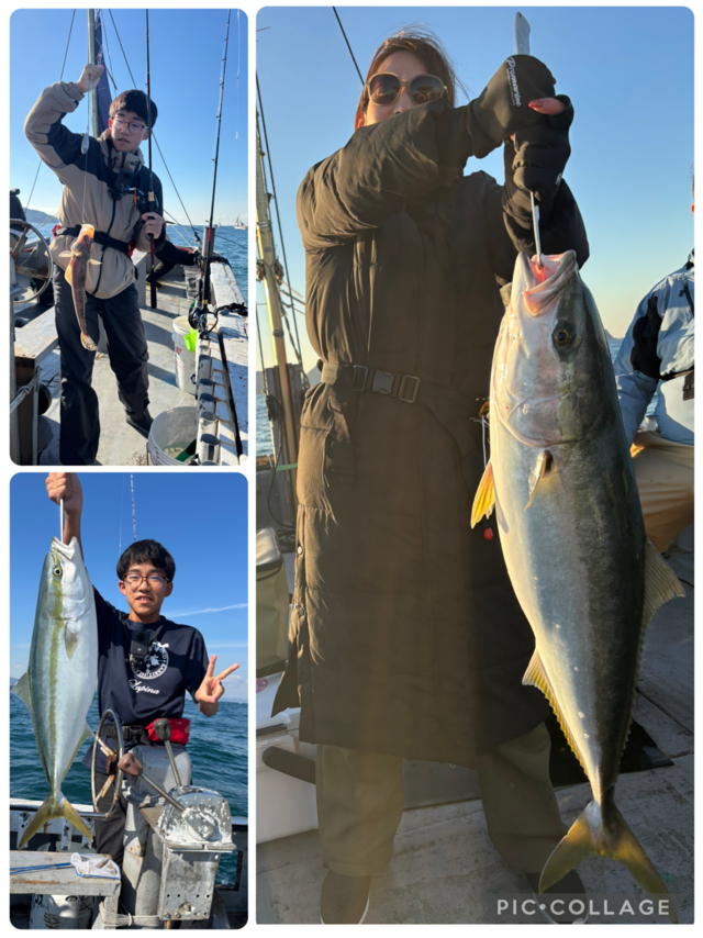 メジロ(ブリ)・イネゴチ