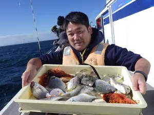 ヘダイ・カサゴ・カワハギ