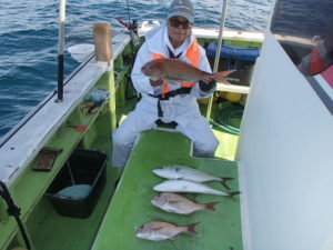 マダイ・イナダ(ブリ)