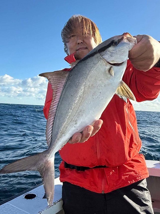 ショゴ(カンパチ)