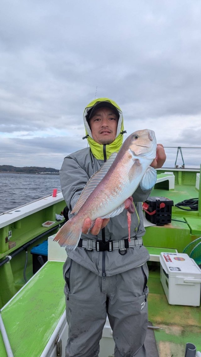 アマダイ(アカアマダイ)