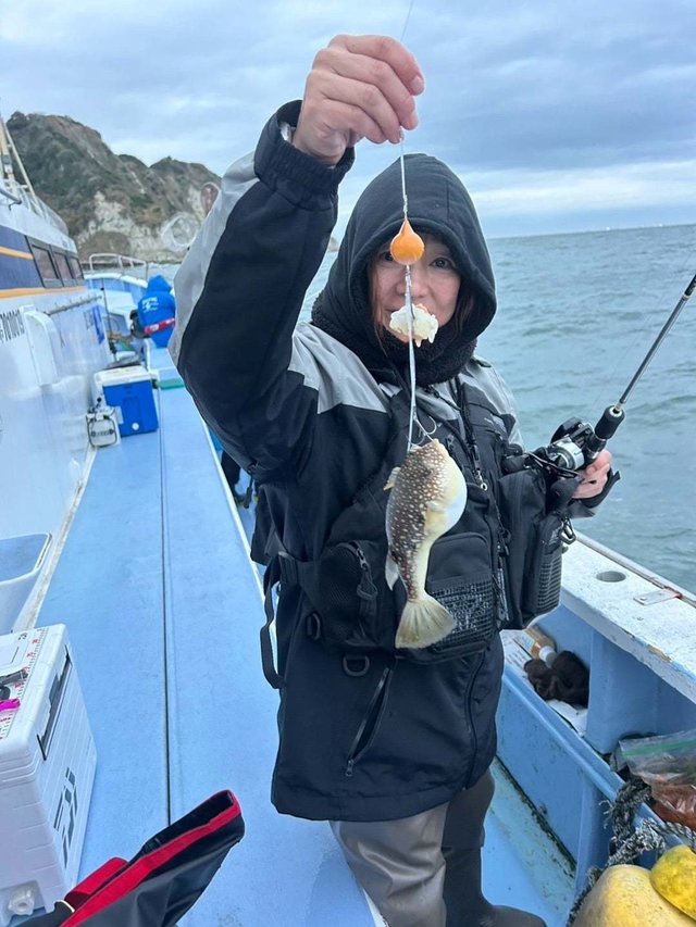 ショウサイフグ