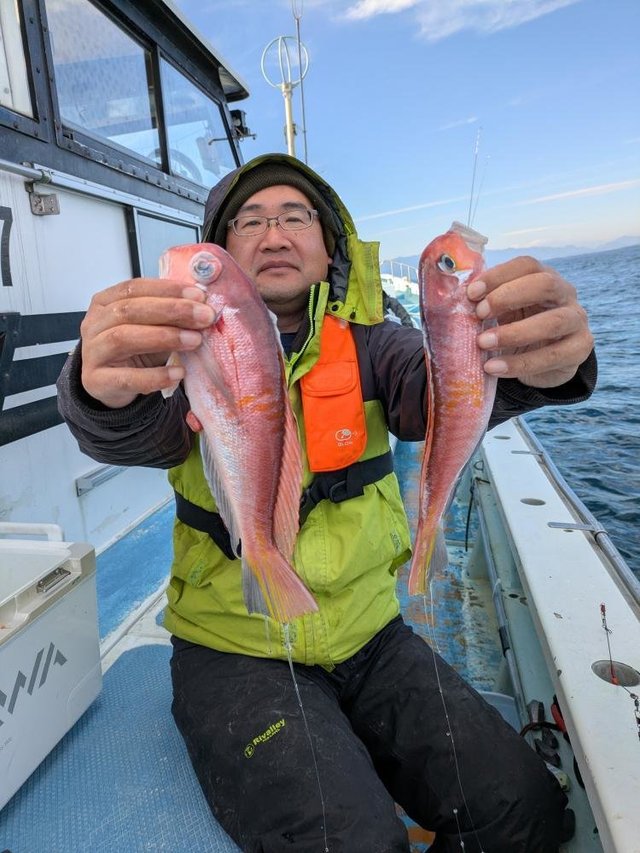 アマダイ(アカアマダイ)