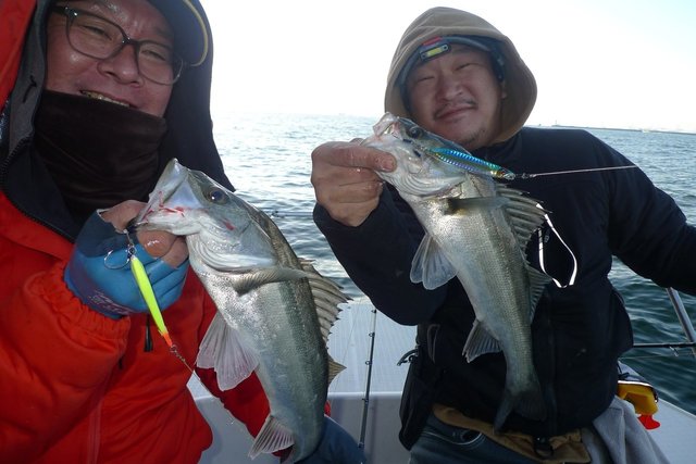 シーバス(スズキ)