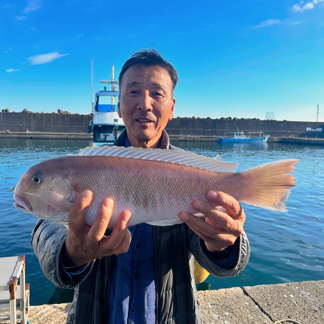 アマダイ(アカアマダイ)