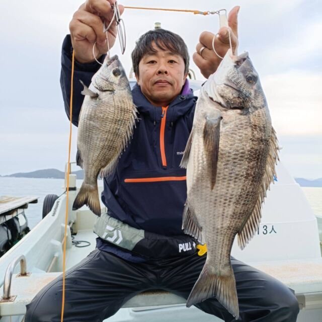 チヌ(クロダイ)