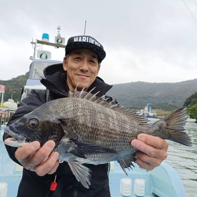 チヌ(クロダイ)