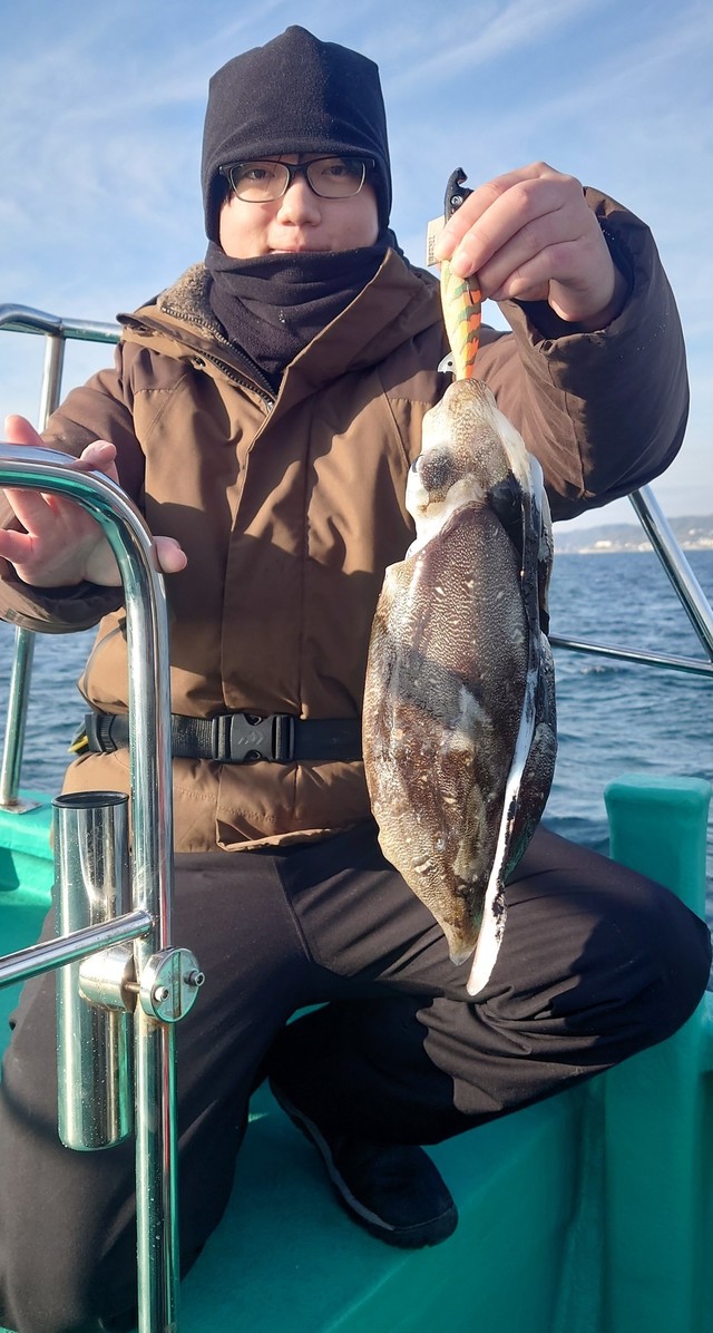 モンゴウイカ(カミナリイカ)