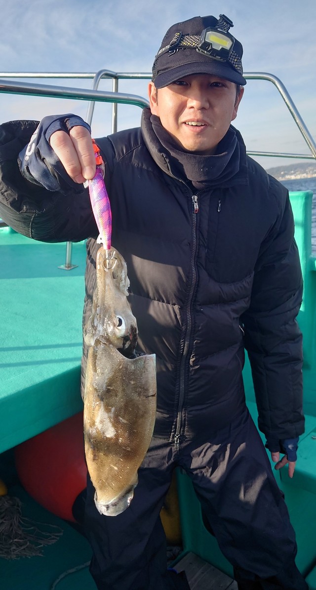 モンゴウイカ(カミナリイカ)