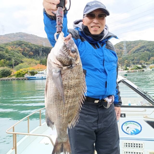 チヌ(クロダイ)