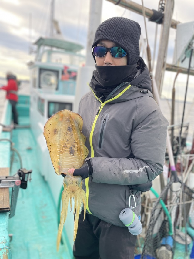 アオリ(アオリイカ)