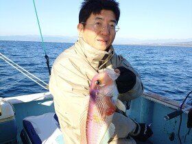 アマダイ(アカアマダイ)