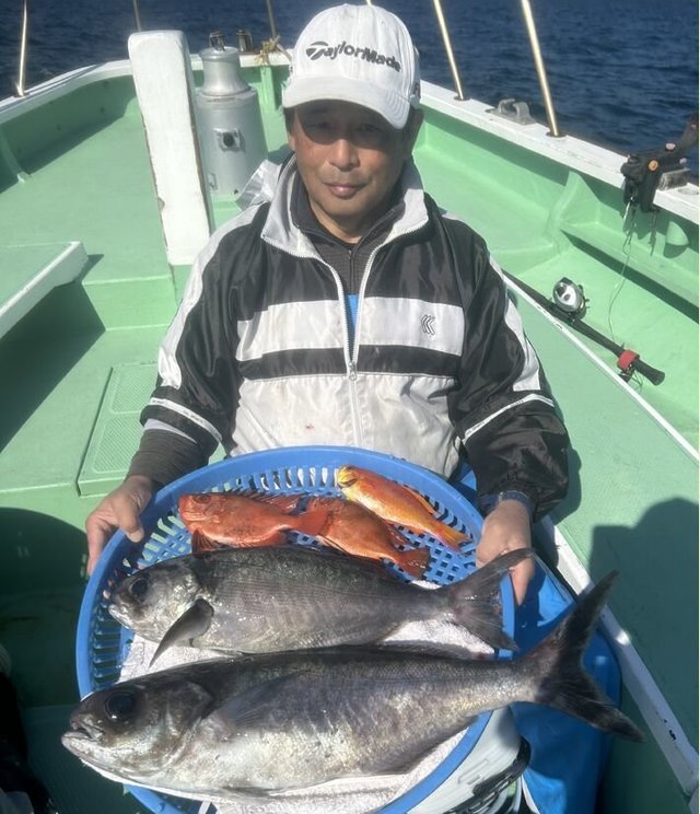 シキシマハナダイ・キントキ(チカメキントキ)・メダイ