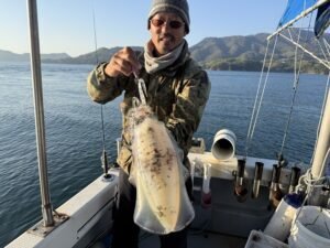 アオリ(アオリイカ)