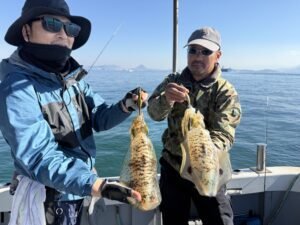 アオリ(アオリイカ)