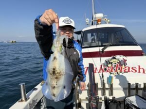 アオリ(アオリイカ)