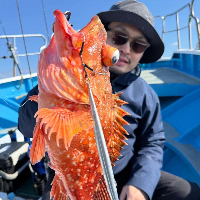 ウッカリカサゴ