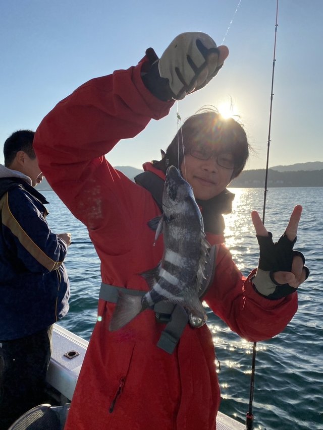 サンバソウ(イシダイ)