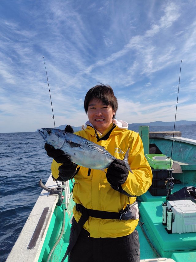 スマカツオ(スマ)