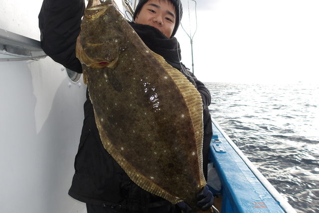 ヒラメ
