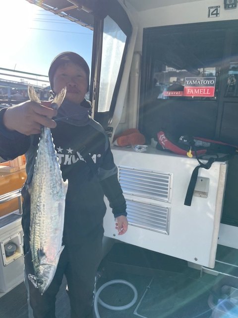 サゴシ(サワラ)