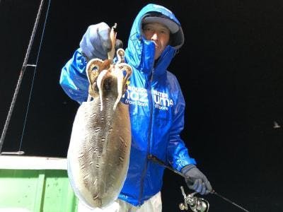 モンゴウイカ(カミナリイカ)