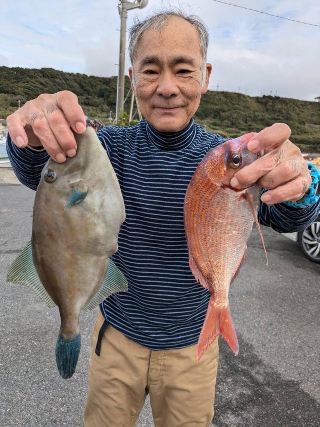 ハナダイ(チダイ)・ウマズラハギ(ウマヅラハギ)