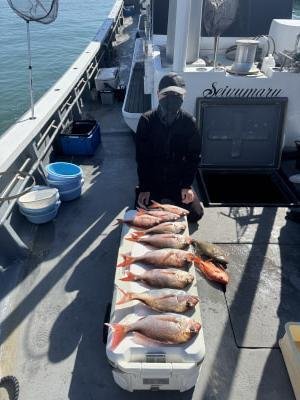 マダイ・ウマヅラ(ウマヅラハギ)・キンメ(キンメダイ)