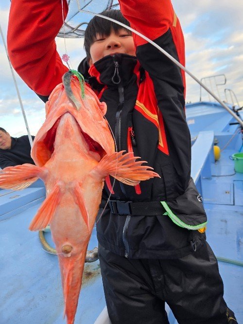 ウッカリカサゴ